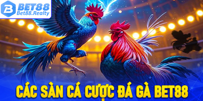 Danh sách các phòng cá cược đá gà Bet88 được yêu thích nhất hiện nay